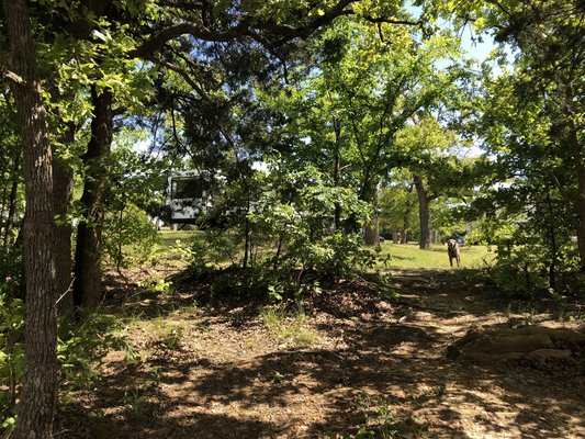 Buzzard's Roost Campground photo 2
