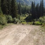 Lost johnny creek road