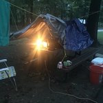 Rattan landing
