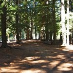 Sherwood campground