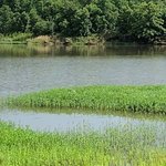 Sportsmans lake