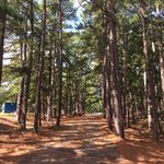 Talimena state park
