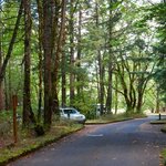 Wyeth campground