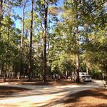 Aiken state park