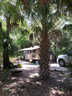 James Island County Park Reviews Updated 2020