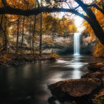 Foster falls